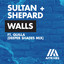 Sultan Shepard Ft. Quilla - Walls