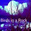 Birds In a Rock Albumcover
