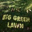 Big Green Lawn Albumcover
