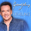 Lieveling cover