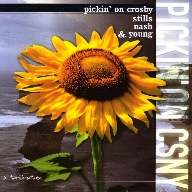 Pickin' On Crosby, Stills, Nash And Young cover