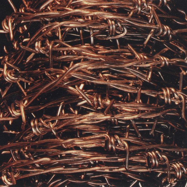 Freedom Bondage cover