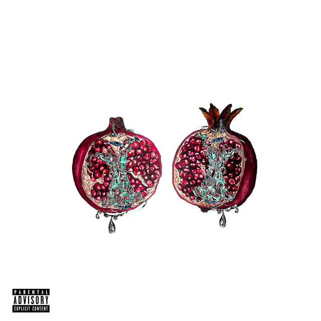 The Fruits cover
