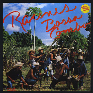Permanente cover