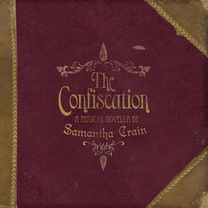 The Confiscation cover