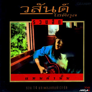 ช่างมันฉันไม่แคร์ by โต๊ะ วสันต์