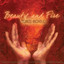 Beauty and Fire (Worldbeat Flamenco Jazz Guitar, Smooth Latin American Grooves, Percussion) Albumcover