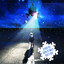 Boy Cried Wolf (Special Christmas Edition) cover