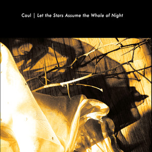 Let the Stars Assume the Whole of Night cover