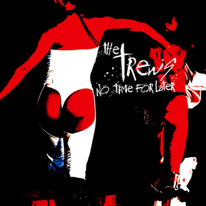 No Time for Later cover