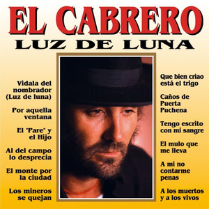 Luz de luna cover