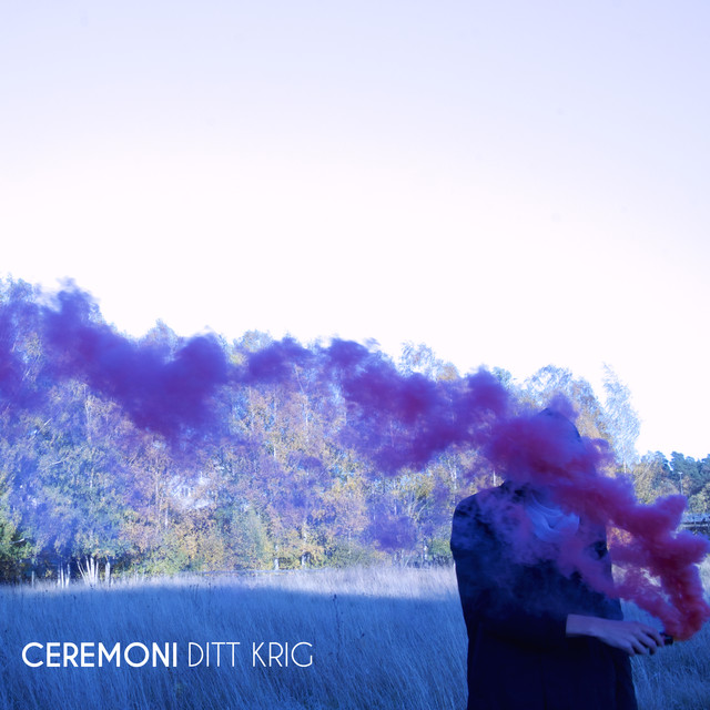 Ditt Krig cover