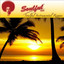 Soulful Instrumental Reggae Albumcover
