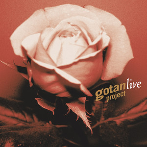 Gotan Project live album
