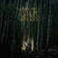 DUM SPIRO SPERO cover