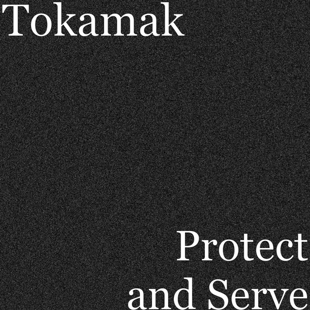 Tokamak Photo