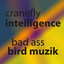 Bad Ass Bird Muzik Albumcover