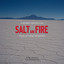 Salt and Fire cover