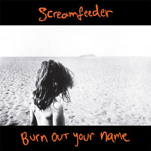 Burn out Your Name (Deluxe Edition) cover