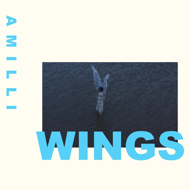 Wings cover