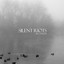 Silent Riots Albumcover