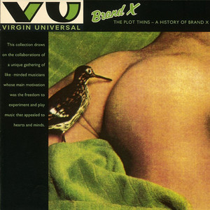 The Plot Thins: A History of Brand X album