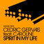 Spirit In My Life (Remixes) cover