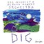 Dig Albumcover