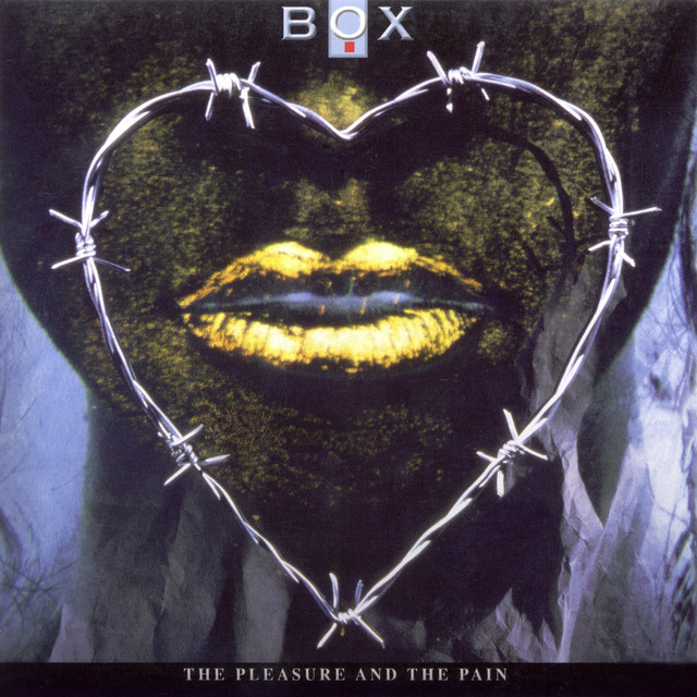 The Pleasure And The Pain cover