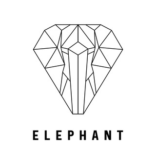 Elephant Music Photo