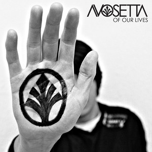 Avosetta