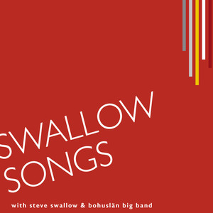 Swallow Songs Albumcover