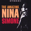 The Amazing... cover