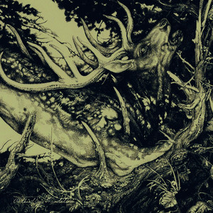 The Dark cover