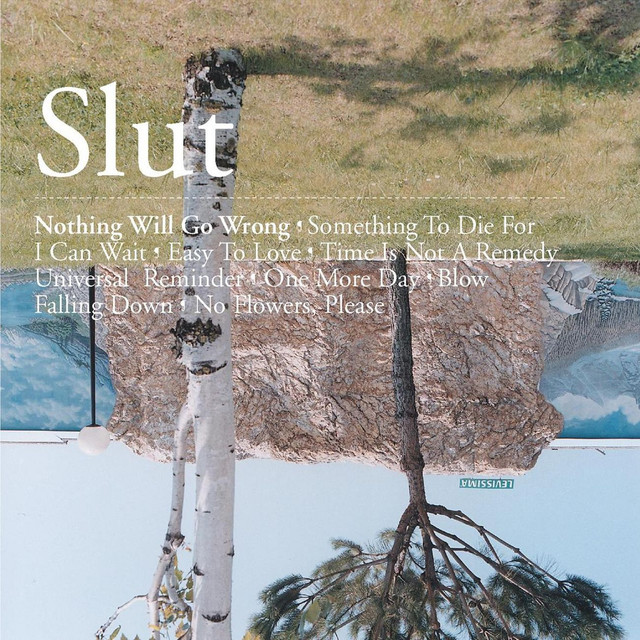 Nothing Will Go Wrong cover