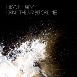 I Drink the Air Before Me album