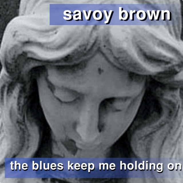 Savoy Brown Blues Band photo