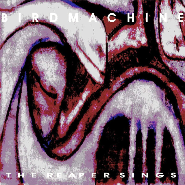 Birdmachine Photo