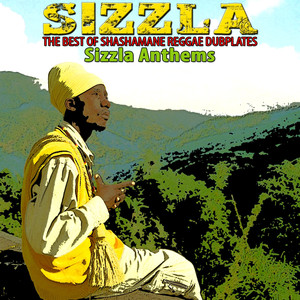 The Best of Shashamane Reggae Dubplates (Sizzla Anthems) album