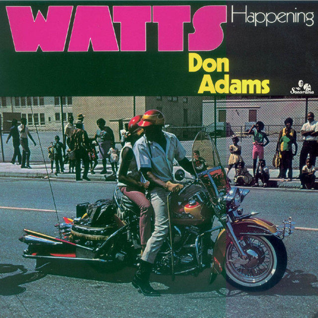 Don Adams Photo