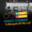 'A Mosquito Bit My Leg' Contest Compilation cover