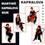 Martinů / Kaprálová / Suk Albumcover