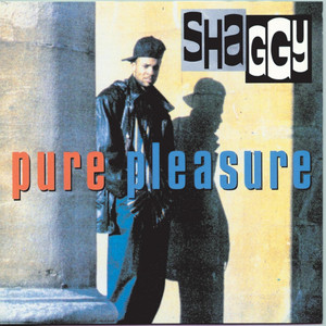 Pure Pleasure album