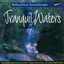 Tranquil Waters Albumcover
