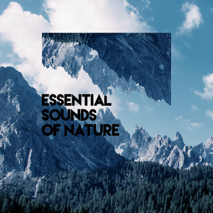 Essential Sounds of Nature album