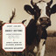 Gnarly Buttons / John's Book of Alleged Dances cover