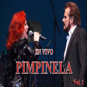 Pimpinela en Vivo, Vol. 1 album