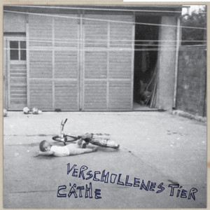 Verschollenes Tier cover