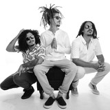 Macaco Véi profile