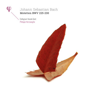 Motetten BWV 225-230 cover